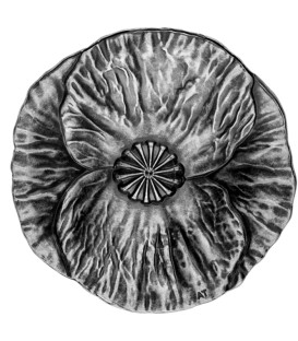 REMEMBRANCE DAY Poppy Silver Coin 20$ Canada 2020